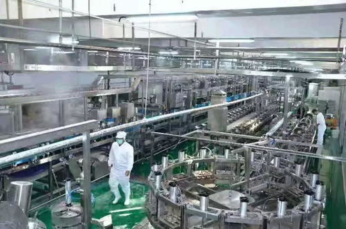 河南南街村豆腐生產線試運行 傳統產業煥新顏，新年運動經營雙輪驅動